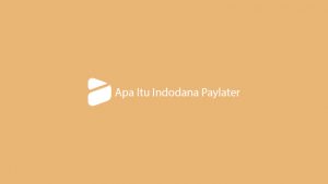 √ Apa Itu Indodana Paylater ? Fitur, Kelebihan & Kekurangan